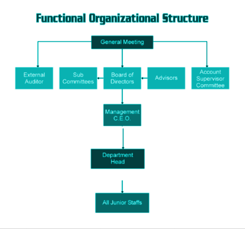 Organizational Structure – China Town Savings and Credit Cooperative